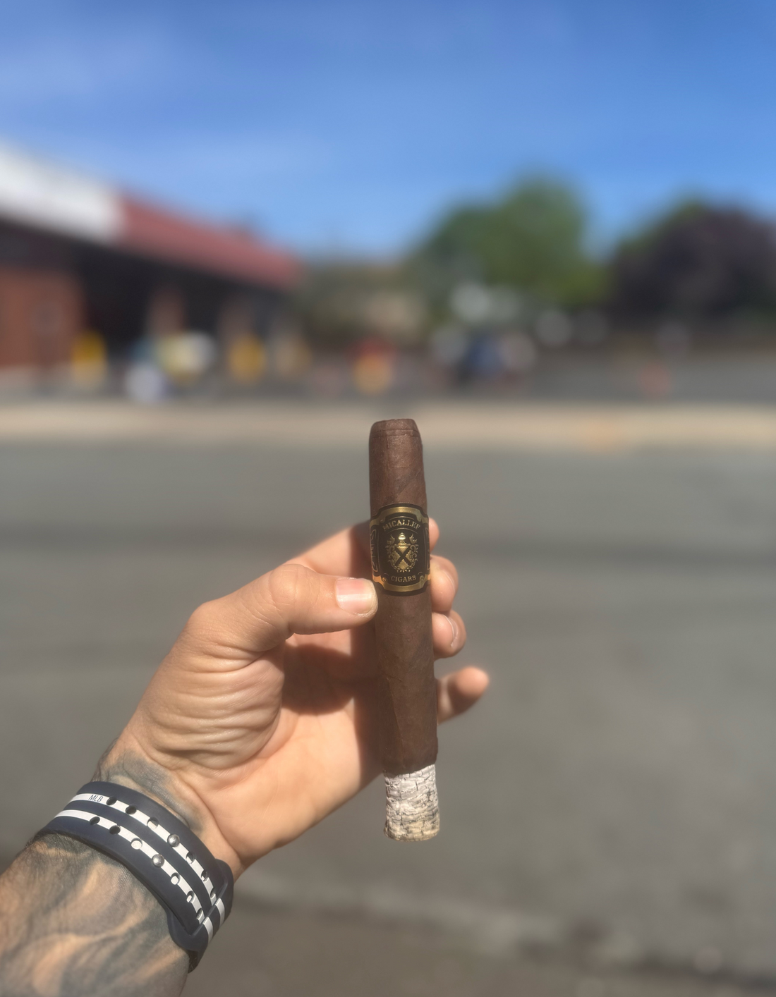 Micallef Black Robusto Review
